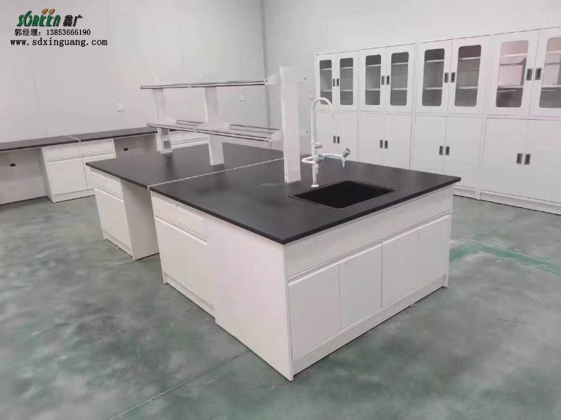 山東全鋼試驗(yàn)臺(tái)、實(shí)驗(yàn)室家具、實(shí)驗(yàn)臺(tái)廠(chǎng)家